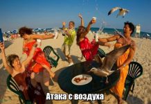 Прикольные картинки ))) # 02.08.2019
