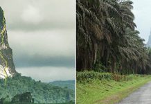 Пик Кан-Гранде – игловидная вулканическая вершина у берегов Африки