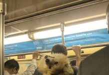 Чего только не увидишь в метро