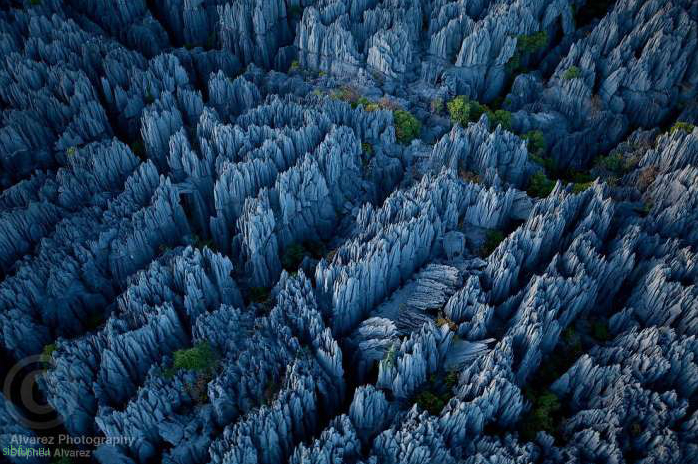 «Каменный лес» Мадагаскара