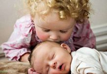 Доказательства высокого интеллекта