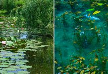 Впечатляющий пруд Nemichi Shine – водоём, сошедший с полотен Клода Моне