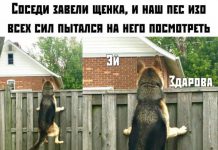 Прикольные картинки ))) # 30.08.2019