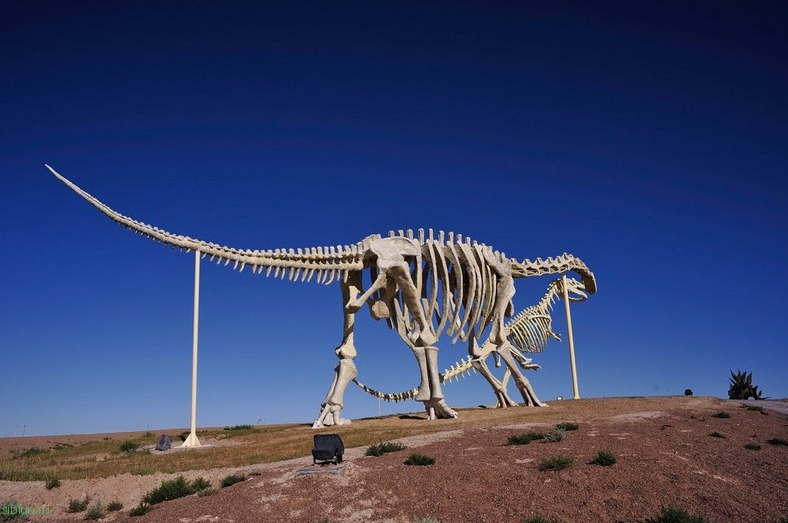 Кладбище динозавров в монголии фото