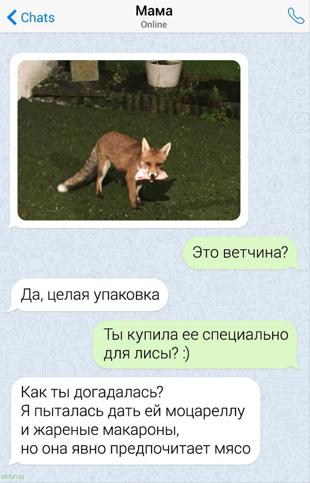 Забавные переписки с родителями