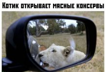 Прикольные картинки ))) # 13.09.2019