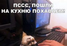 Прикольные картинки ))) # 19.09.2019