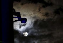 Луна в объективе