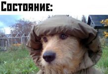 Прикольные картинки ))) # 25.09.2019