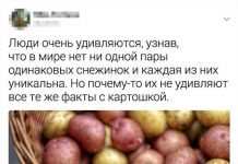 Свежая порция остроумных твитов