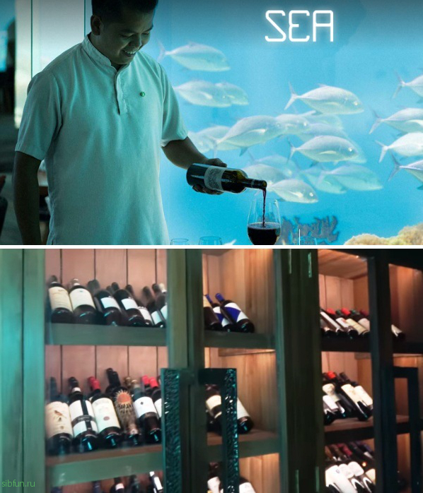 Роскошный подводный ресторан на Мальдивах