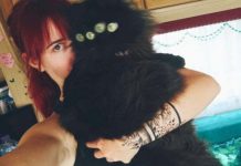 Прикольные картинки ))) # 07.09.2019