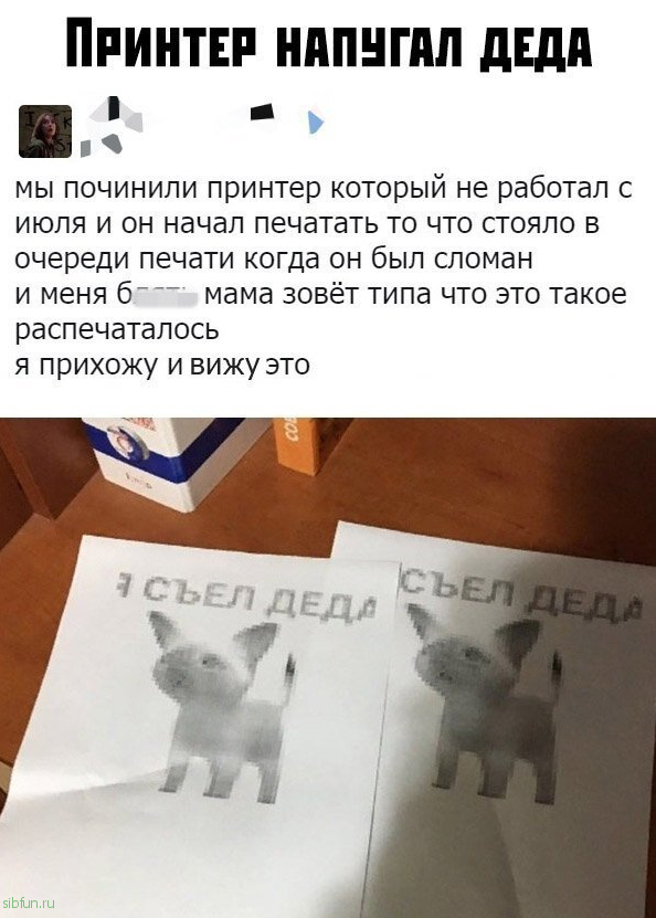 Скрины из социальных сетей