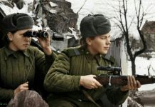 Любопытные факты о советском ватнике