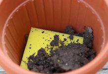 Польза губок для мытья посуды в быту