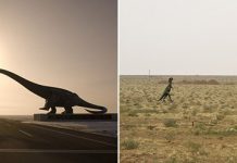 Город Эрэн-Хото во Внутренней Монголии — огромное кладбище динозавров