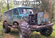 Прикольные картинки ))) # 24.09.2019