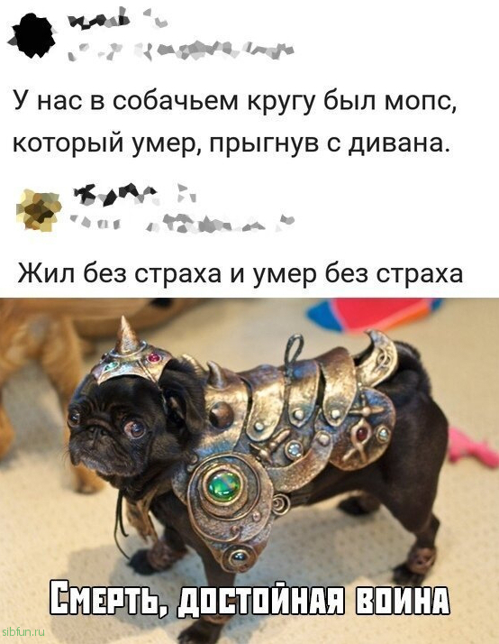 Скрины из социальных сетей