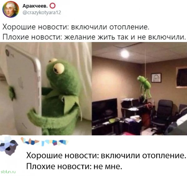 Прикольные картинки )))