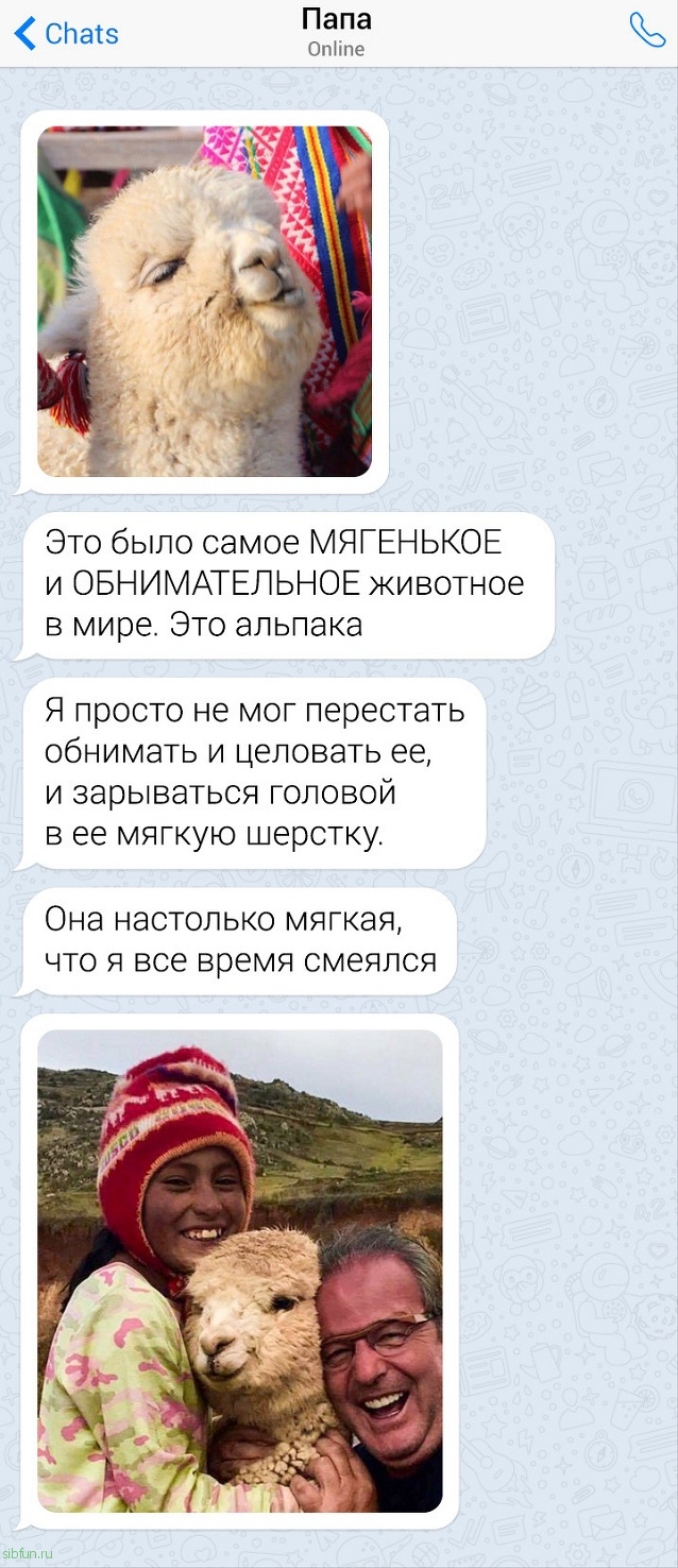 Забавные переписки с родителями