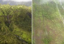 Гора Вайалеале – огромная вулканическая «Стена Слёз» на Гавайских островах