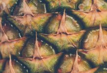 Любопытные факты об ананасах