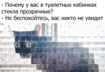 Прикольные картинки ))) # 08.10.2019