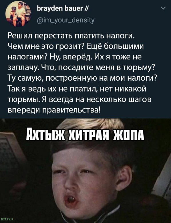 Прикольные картинки )))