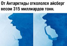 Прикольные картинки ))) # 02.10.2019