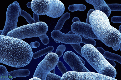 Ученые сообщили, что антибиотики скоро могут стать бесполезными