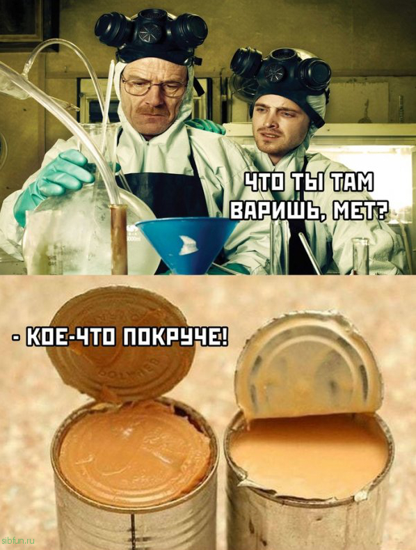 Прикольные картинки )))