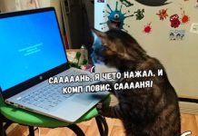 Прикольные картинки ))) # 10.10.2019