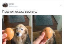 Забавные твиты от людей с нестандартным мышлением