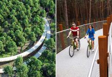 Необычная велосипедная дорожка в бельгийском лесу Босланд