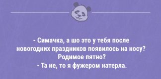 Свежие анекдоты для настроения — 26.11.2019