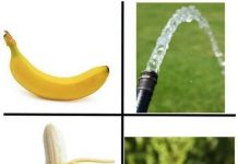 Прикольные картинки ))) # 07.12.2019