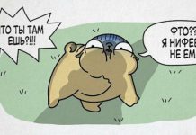 Смешные комиксы :) # 30.12.2019