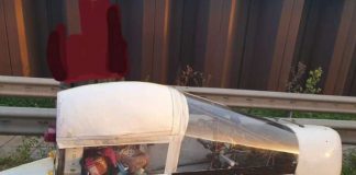 Даже копы не поняли, что за чудо-юдо они тормознули