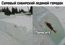 Прикольные картинки ))) # 10.12.2019