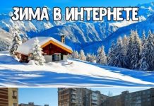 Чуток картинок # 23.02.2020