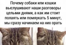 Немного картинок для настроения # 29.02.2020