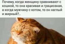 Чуток картинок # 24.02.2020