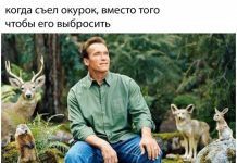 Нестандартный юмор :) # 23.02.2020