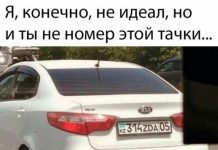 Немного картинок для настроения # 09.02.2020