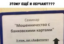 Немного картинок для настроения # 27.02.2020