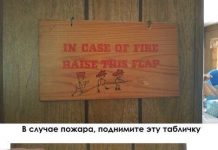 Чуток картинок # 13.02.2020