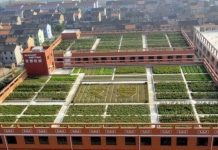 В предвкушении хорошего урожая: убойные фото с огородов # 27.02.2020