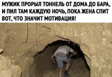 Чуток картинок # 17.02.2020