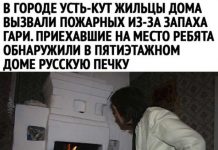 Чуток картинок # 12.02.2020