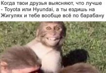 Немного картинок для настроения # 12.02.2020